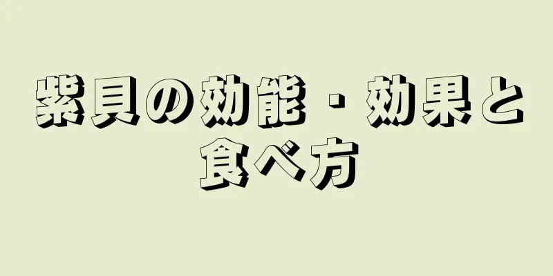 紫貝の効能・効果と食べ方