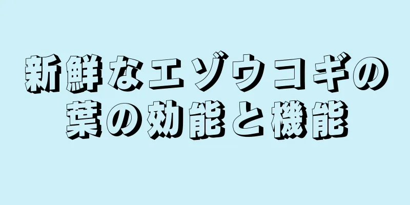 新鮮なエゾウコギの葉の効能と機能