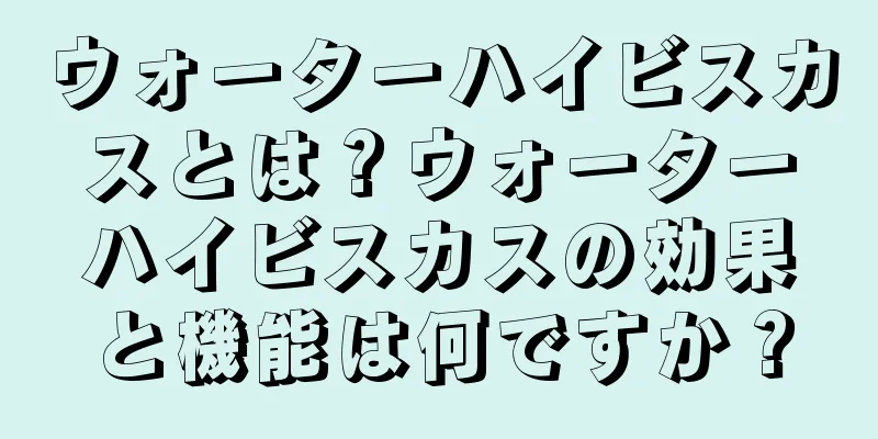 ウォーターハイビスカスとは？ウォーターハイビスカスの効果と機能は何ですか？