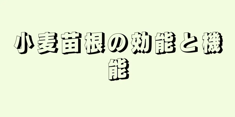 小麦苗根の効能と機能