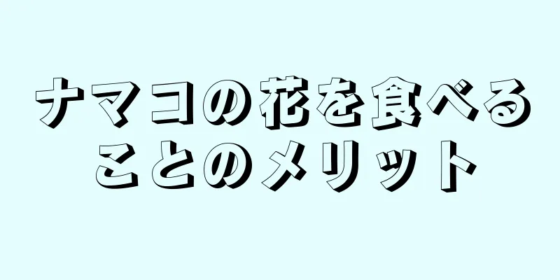 ナマコの花を食べることのメリット
