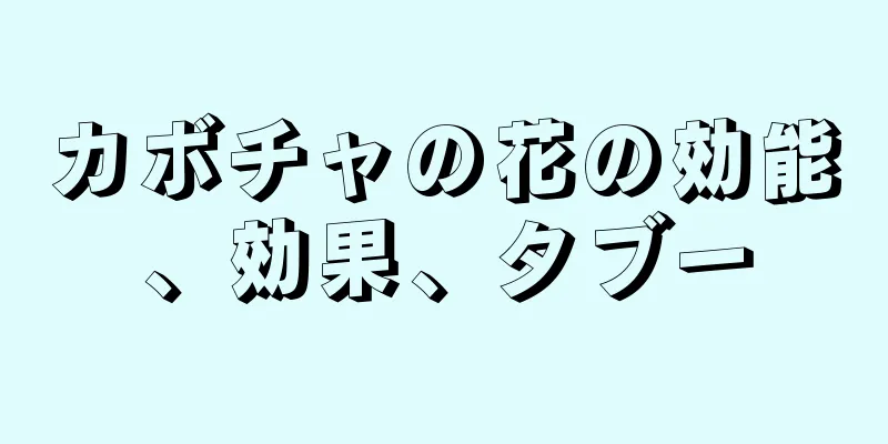 カボチャの花の効能、効果、タブー