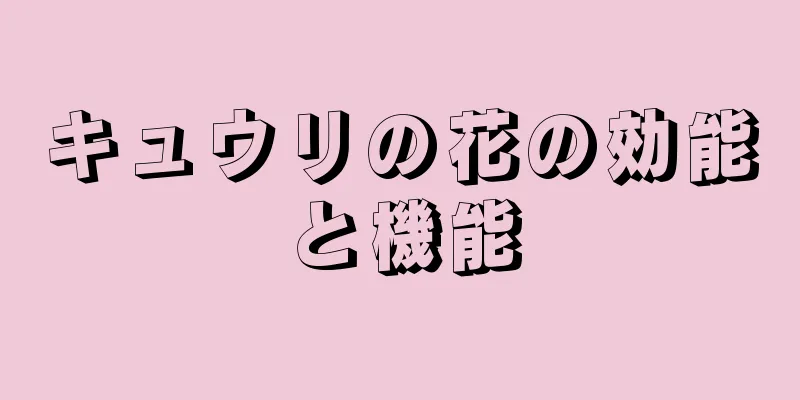 キュウリの花の効能と機能