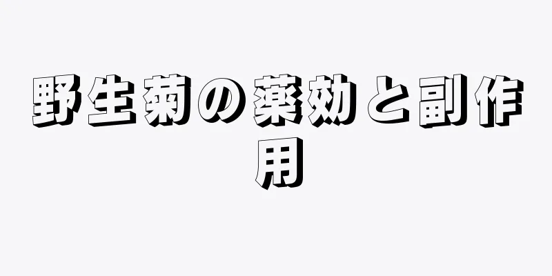 野生菊の薬効と副作用