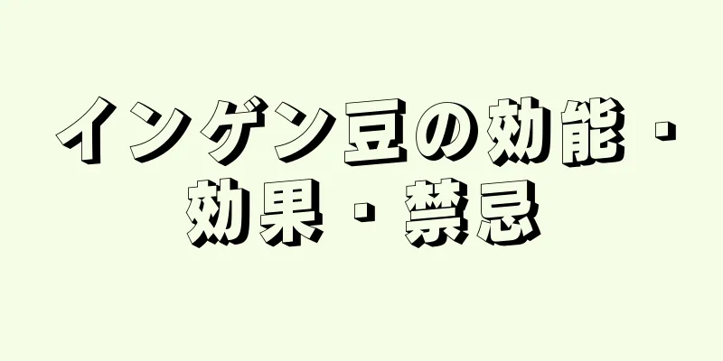 インゲン豆の効能・効果・禁忌