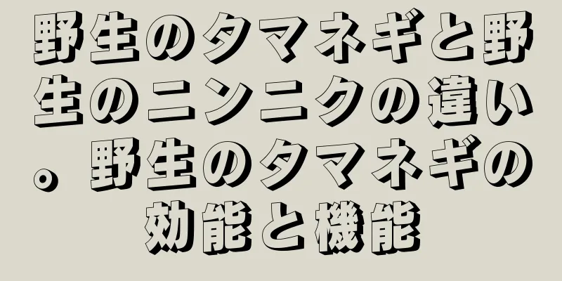 野生のタマネギと野生のニンニクの違い。野生のタマネギの効能と機能