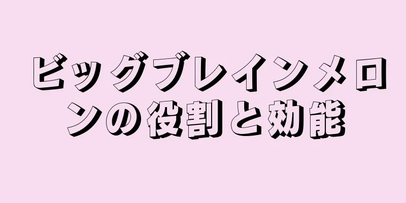 ビッグブレインメロンの役割と効能
