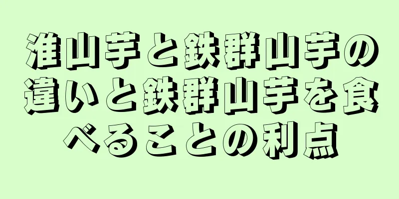 淮山芋と鉄群山芋の違いと鉄群山芋を食べることの利点