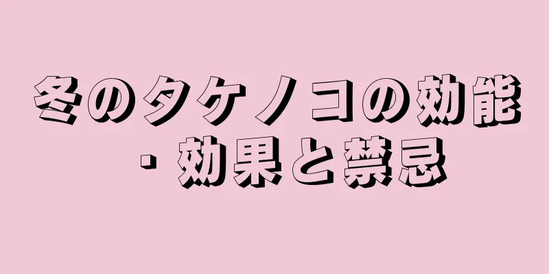 冬のタケノコの効能・効果と禁忌