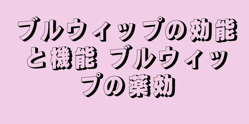 ブルウィップの効能と機能 ブルウィップの薬効