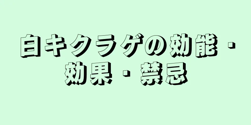 白キクラゲの効能・効果・禁忌