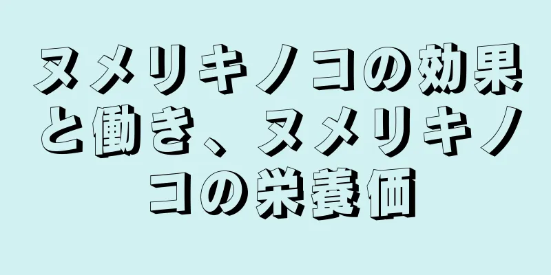 ヌメリキノコの効果と働き、ヌメリキノコの栄養価
