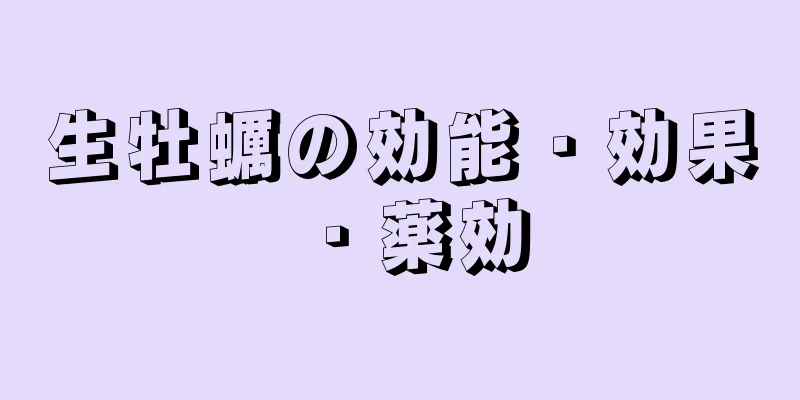 生牡蠣の効能・効果・薬効