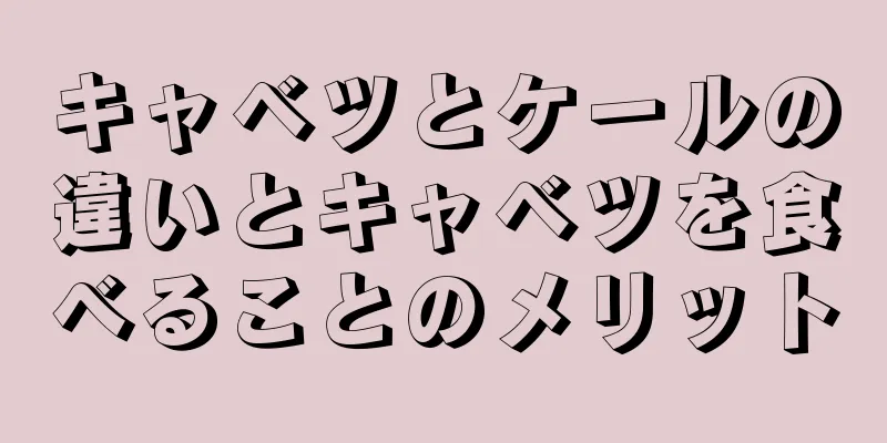 キャベツとケールの違いとキャベツを食べることのメリット