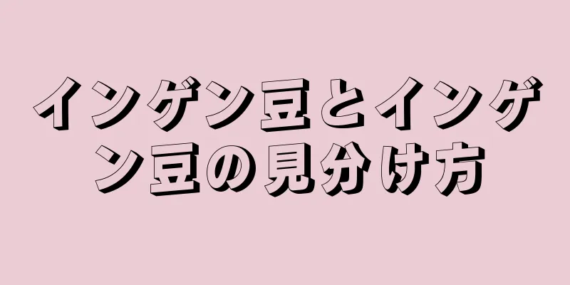 インゲン豆とインゲン豆の見分け方