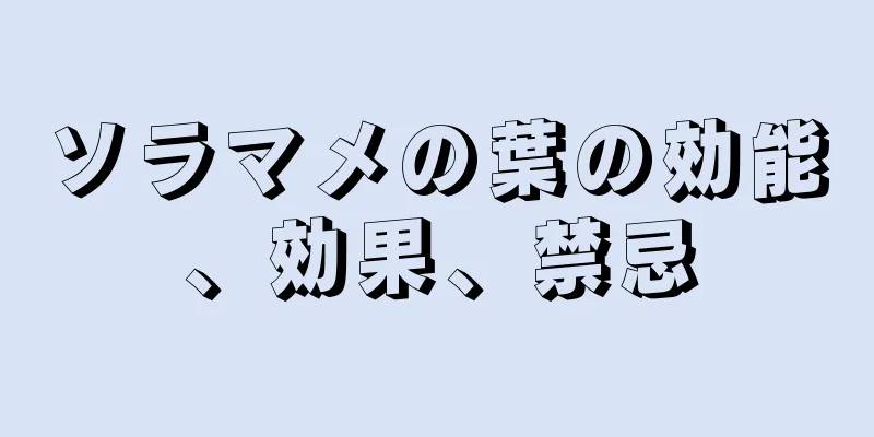 ソラマメの葉の効能、効果、禁忌