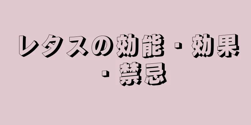 レタスの効能・効果・禁忌