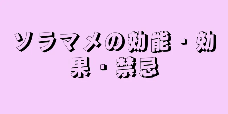 ソラマメの効能・効果・禁忌