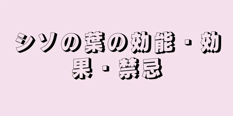 シソの葉の効能・効果・禁忌