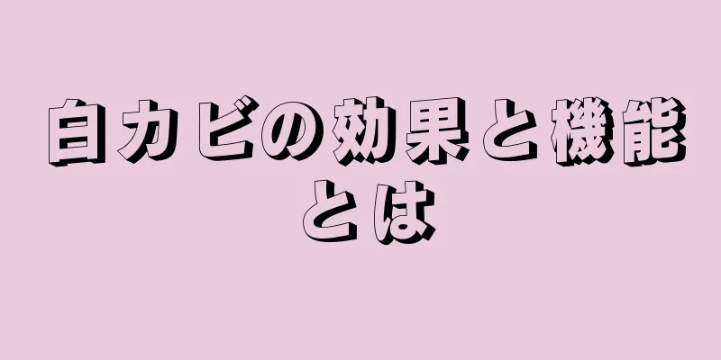 白カビの効果と機能とは