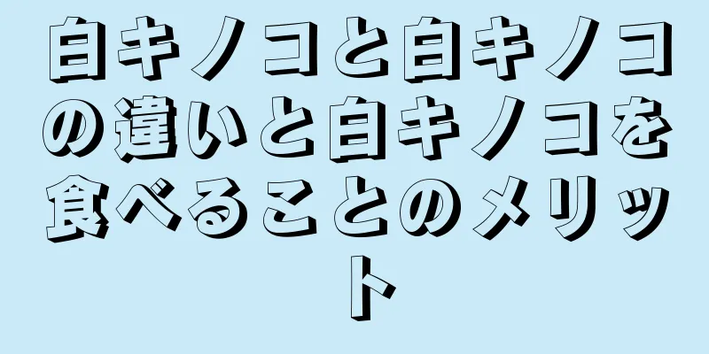 白キノコと白キノコの違いと白キノコを食べることのメリット