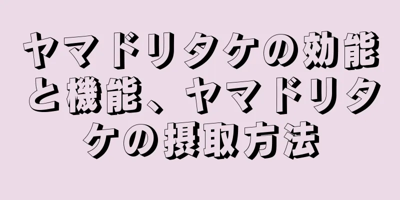ヤマドリタケの効能と機能、ヤマドリタケの摂取方法