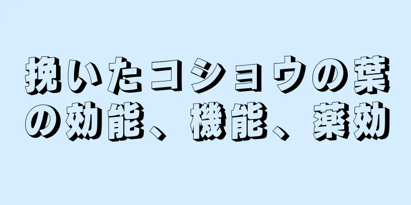 挽いたコショウの葉の効能、機能、薬効