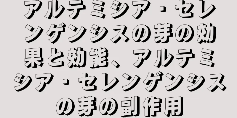 アルテミシア・セレンゲンシスの芽の効果と効能、アルテミシア・セレンゲンシスの芽の副作用
