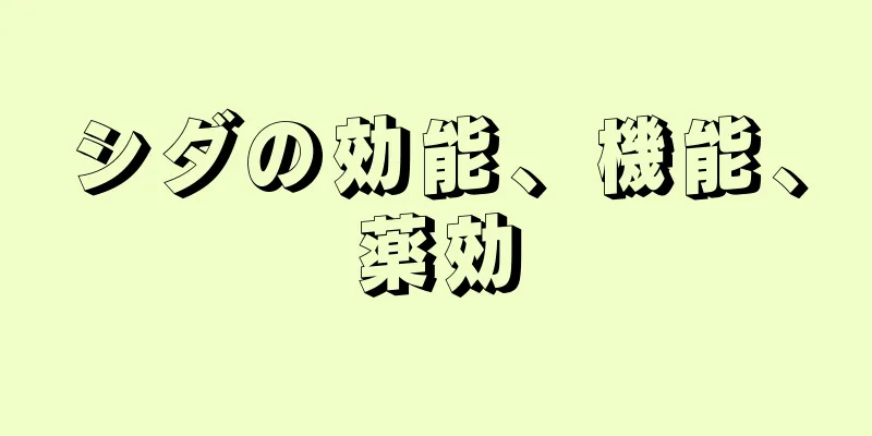 シダの効能、機能、薬効