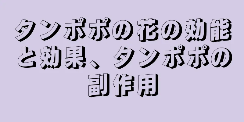 タンポポの花の効能と効果、タンポポの副作用