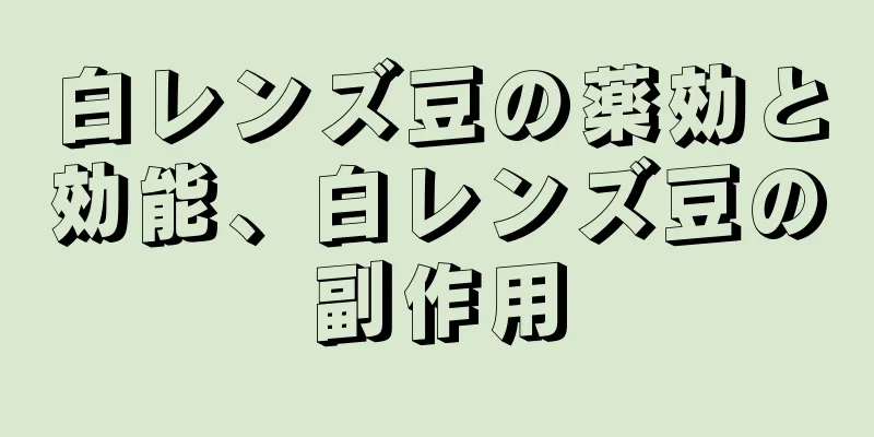 白レンズ豆の薬効と効能、白レンズ豆の副作用