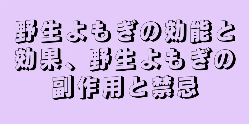 野生よもぎの効能と効果、野生よもぎの副作用と禁忌