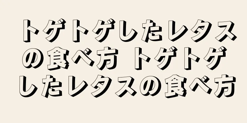 トゲトゲしたレタスの食べ方 トゲトゲしたレタスの食べ方