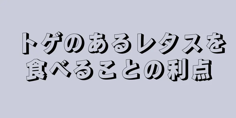 トゲのあるレタスを食べることの利点