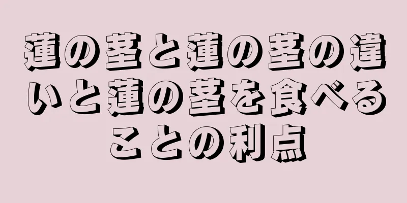 蓮の茎と蓮の茎の違いと蓮の茎を食べることの利点