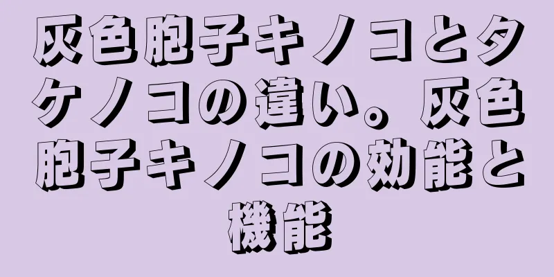 灰色胞子キノコとタケノコの違い。灰色胞子キノコの効能と機能