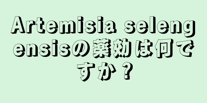 Artemisia selengensisの薬効は何ですか？