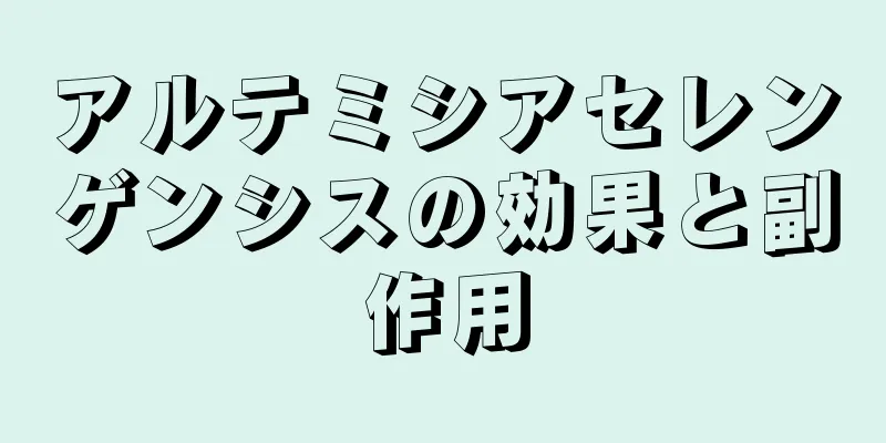 アルテミシアセレンゲンシスの効果と副作用