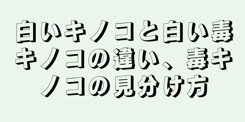 白いキノコと白い毒キノコの違い、毒キノコの見分け方