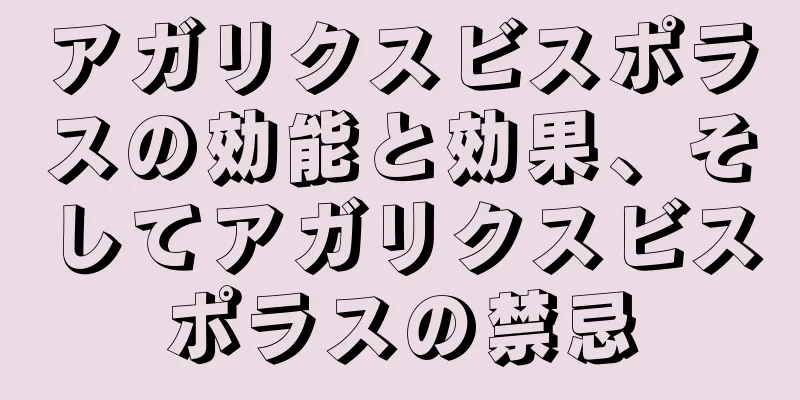 アガリクスビスポラスの効能と効果、そしてアガリクスビスポラスの禁忌