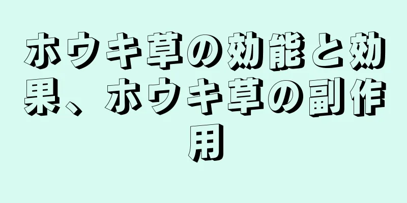 ホウキ草の効能と効果、ホウキ草の副作用