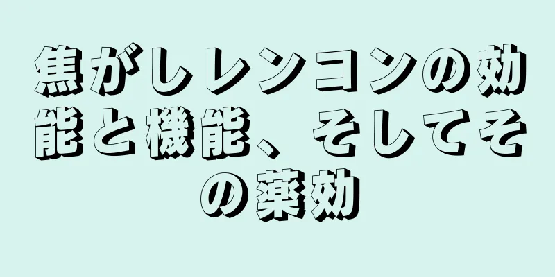焦がしレンコンの効能と機能、そしてその薬効