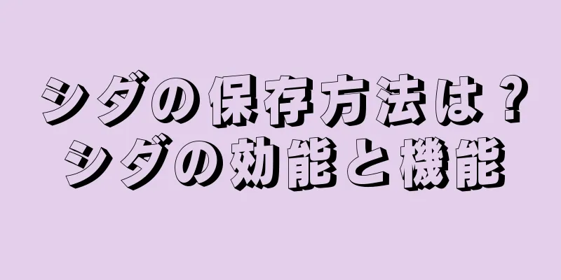 シダの保存方法は？シダの効能と機能