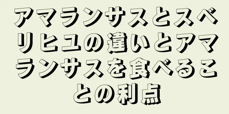 アマランサスとスベリヒユの違いとアマランサスを食べることの利点