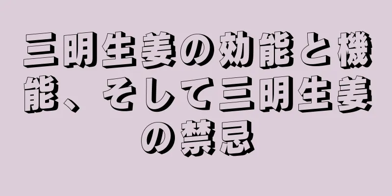 三明生姜の効能と機能、そして三明生姜の禁忌