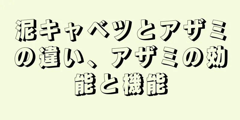 泥キャベツとアザミの違い、アザミの効能と機能