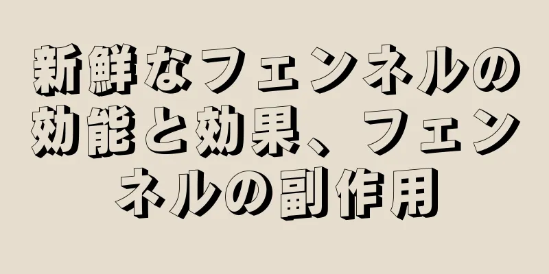 新鮮なフェンネルの効能と効果、フェンネルの副作用