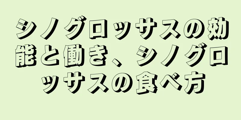 シノグロッサスの効能と働き、シノグロッサスの食べ方