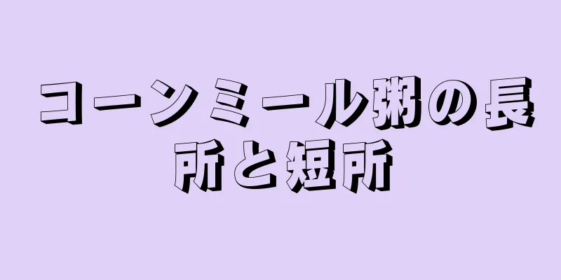 コーンミール粥の長所と短所