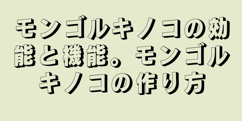 モンゴルキノコの効能と機能。モンゴルキノコの作り方